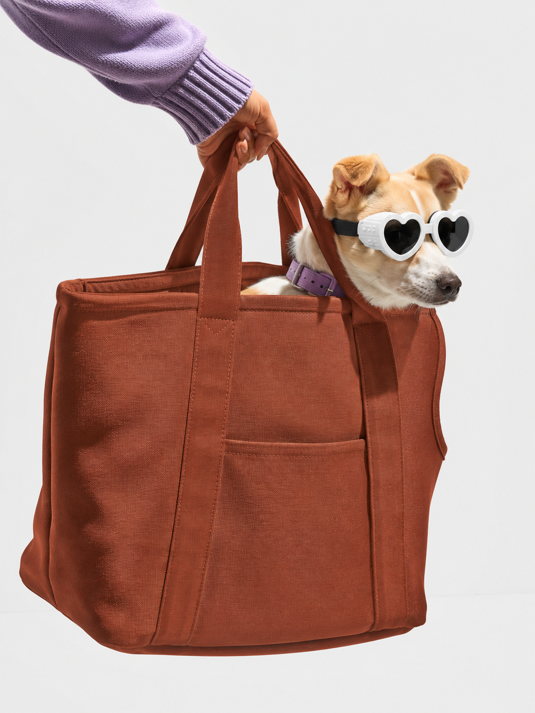 Puparazzi™ Dog Sunglasses