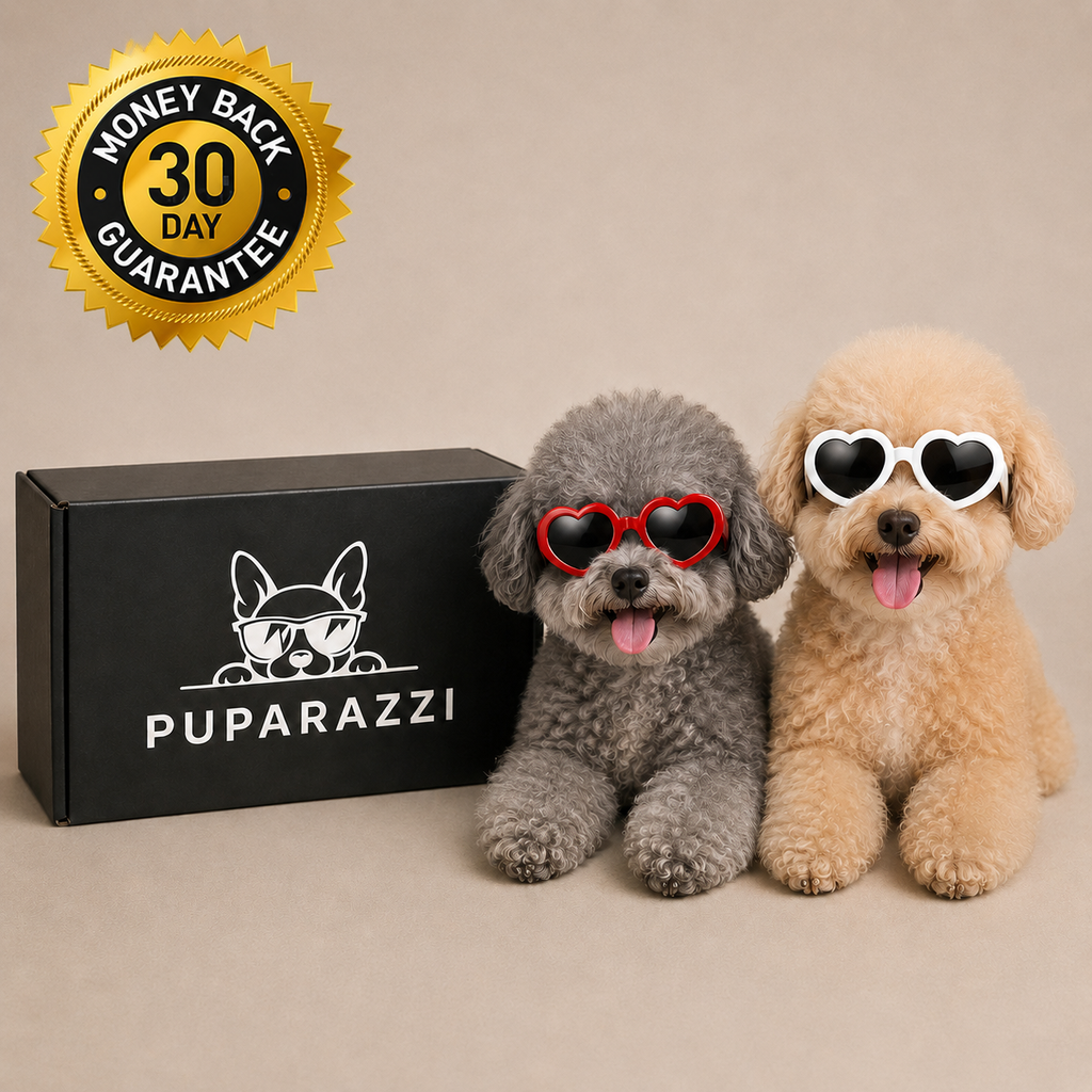 Puparazzi™ Dog Sunglasses
